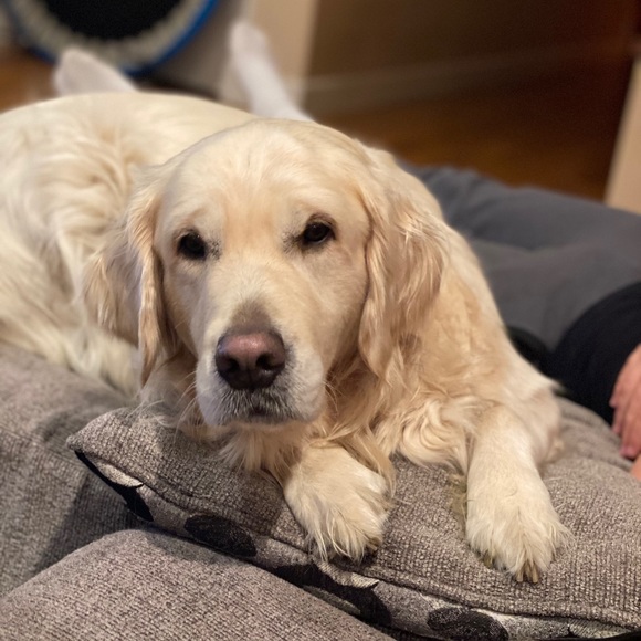 Meet the Posher - Picture 3 of 6